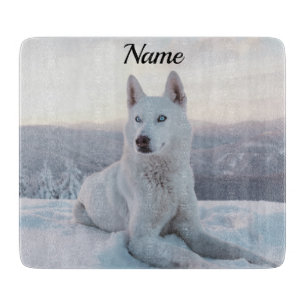 Förtrollning av White Husky Hund i snö