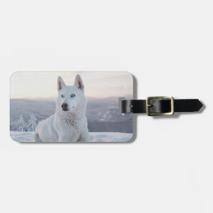 Förtrollning av White Husky Hund i snö Bagagebricka