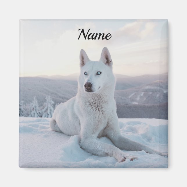 Förtrollning av White Husky Hund i snö Magnet (Framsidan)