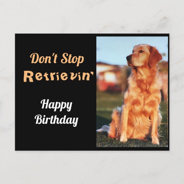 Fortsätt hämta Födelsedag för Golden Retriever Vykort (Framsida)