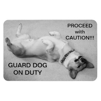 Fortsätt med Caution Magnet