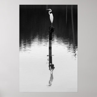 Fortsatt reflektion poster