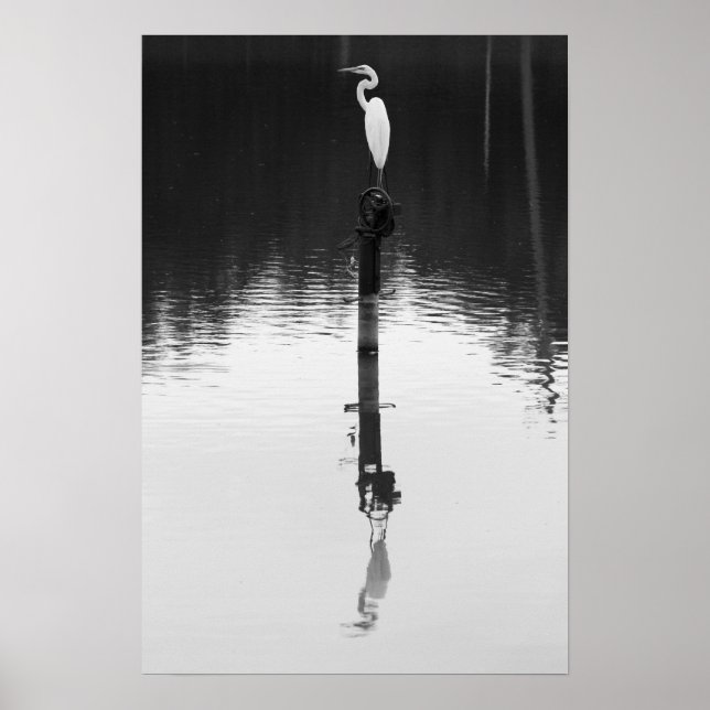 Fortsatt reflektion poster (Framsidan)