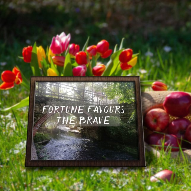 Fortune gynnar den modiga ordbron som poster (Skapare uppladdad)