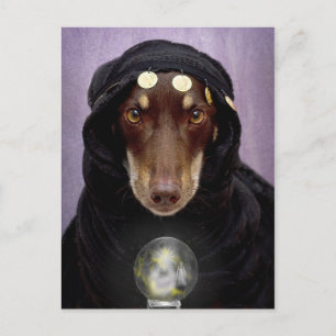 Fortune Teller Vykort