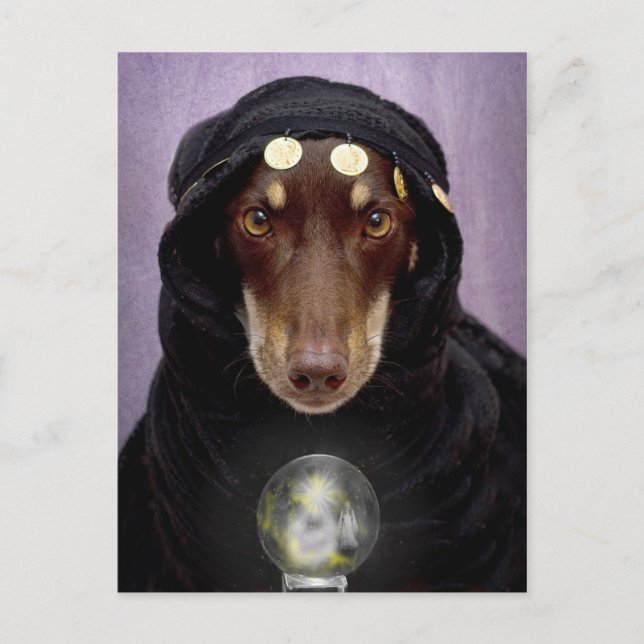 Fortune Teller Vykort (Framsida)