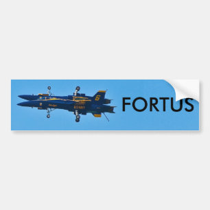 Fortus Bildekal