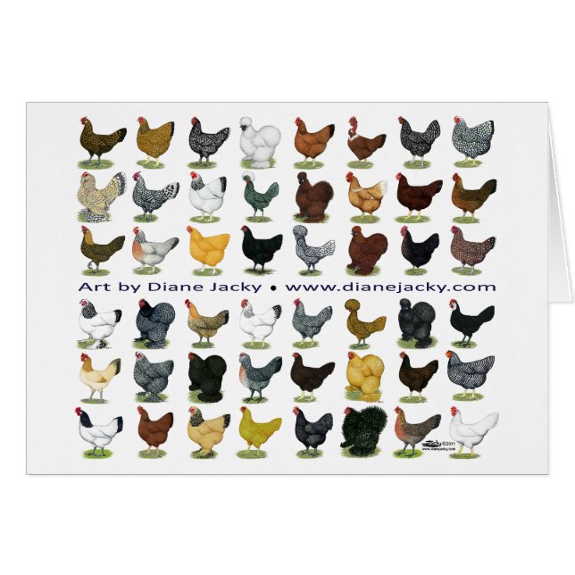 Forty-eight hönaPromo OBS Kort (Framsidan Horizontal)