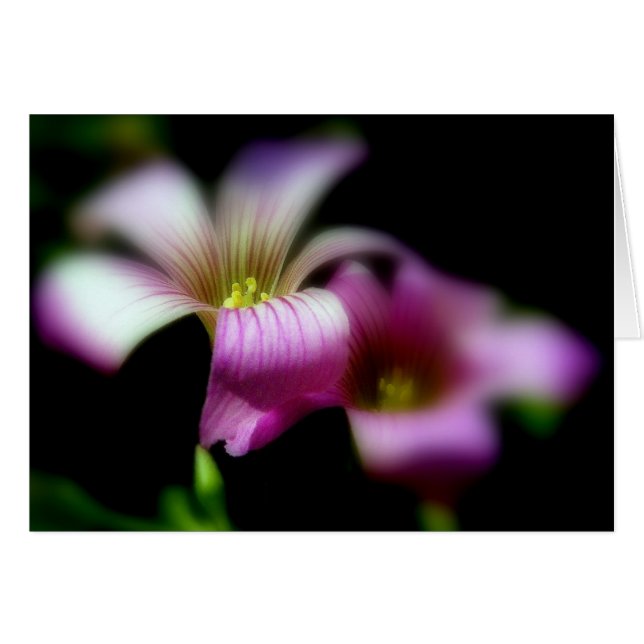 Förutom du alltid/ Kärlek Bröllop-kort Hälsningskort (Framsidan Horizontal)