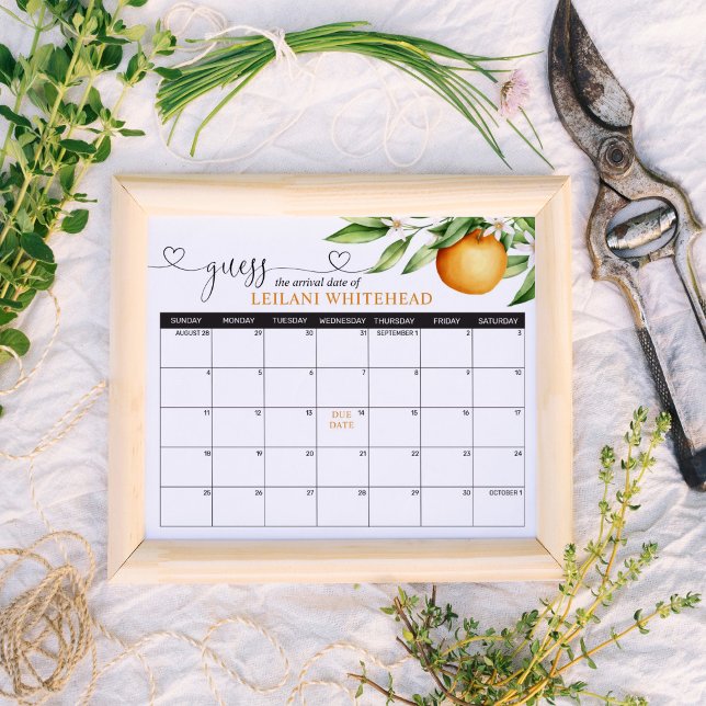 Förutsägelser Babyskor-Orangar Poster (Skapare uppladdad)