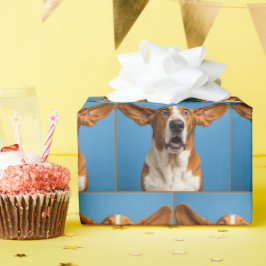 Förvånad Basset Hound Presentpapper