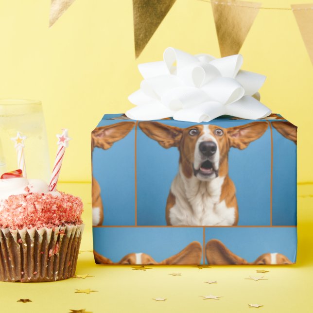 Förvånad Basset Hound Presentpapper (Födelsedagsfest)