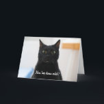 Förvånad Cat Funny Birthday Helgkort<br><div class="desc">Lönsamhetskort med en förvrängd bild av en överraskad katt. Anpassa texten inuti och ut till dina inställningar.</div>