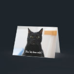 Förvånad Cat Funny Birthday Helgkort<br><div class="desc">Lönsamhetskort med en förvrängd bild av en överraskad katt. Anpassa texten inuti och ut till dina inställningar.</div>