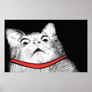 Förvånad kattflämtning Meme - affisch