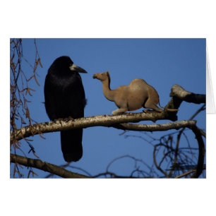 Förvånad Kråka Hälsningskort