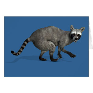 Förvånad Raccoon Hälsningskort