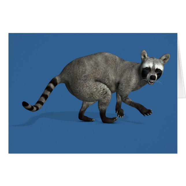 Förvånad Raccoon Hälsningskort (Framsidan Horizontal)