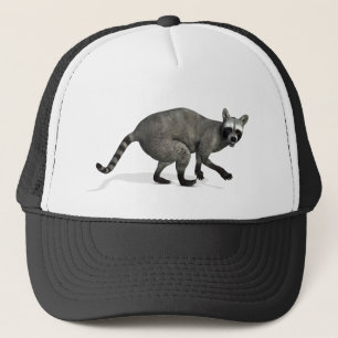 Förvånad Raccoon Keps
