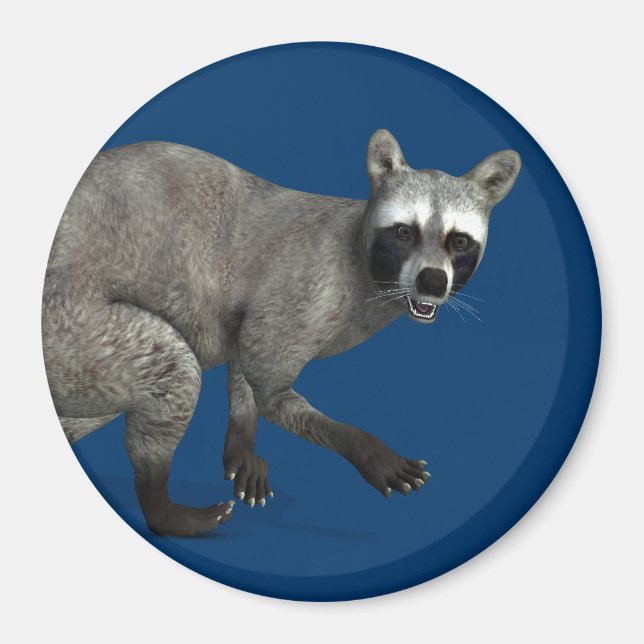Förvånad Raccoon Magnet (Framsidan)