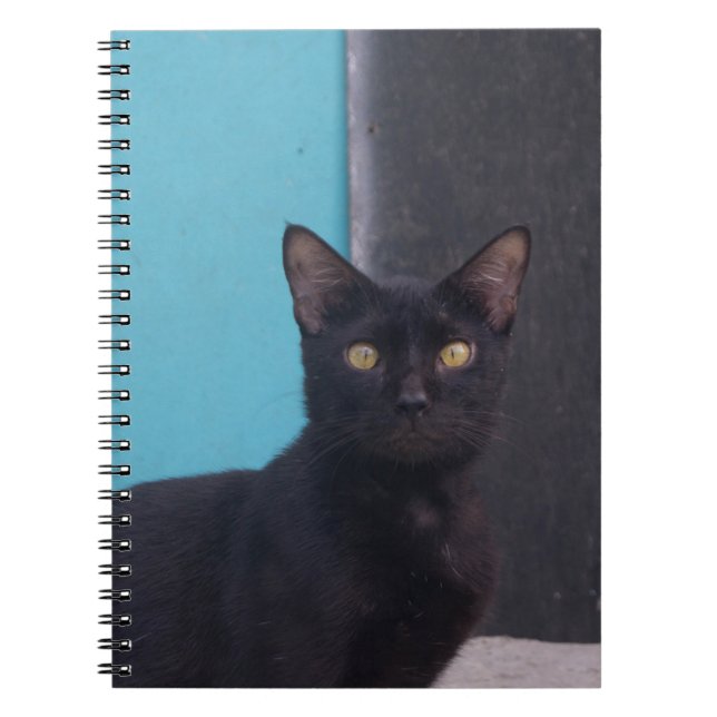 Förvånad svart katt anteckningsbok (Framsidan)