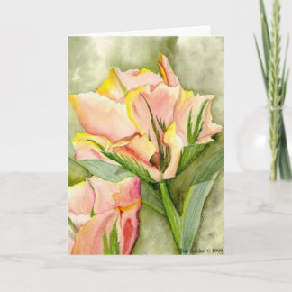 "Förväntan" som utanför gynnar Kairos Kort