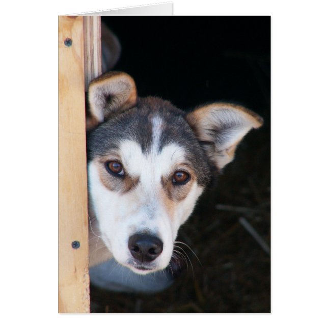 Förväntning Hälsningskort (Framsidan)