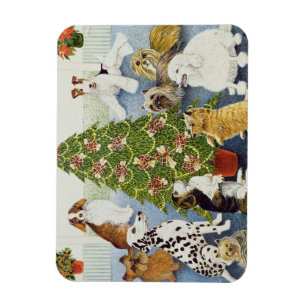 Förväntning Magnet