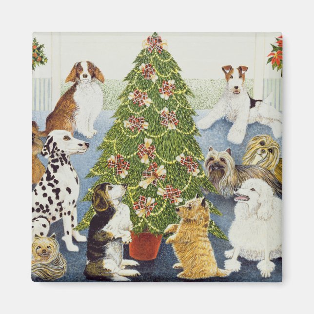 Förväntning Magnet (Framsidan)