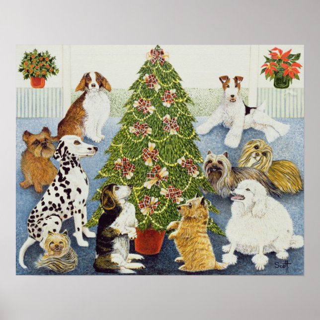 Förväntning Poster (Framsidan)