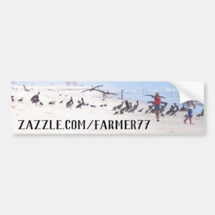 Förvara Adress Beach Pelican Birds Bumper Sticker Bildekal