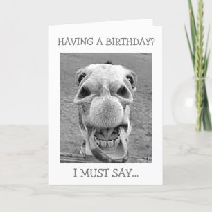 FÖRVÄRRAD MULE-HA EN BIRTHDAY? KORT