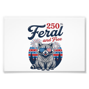 Förvildad 250 och fri tvättbjörn patriotisk vektor fototryck