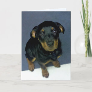 Förvildat rottweiler-uppy-blankgratulationskort kort