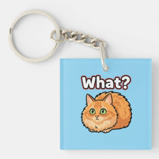 Förvirrad Fluffig Orange Katt "Vad?" Meme-nyckelri