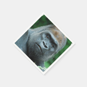 Förvirrad gorilla pappersservett
