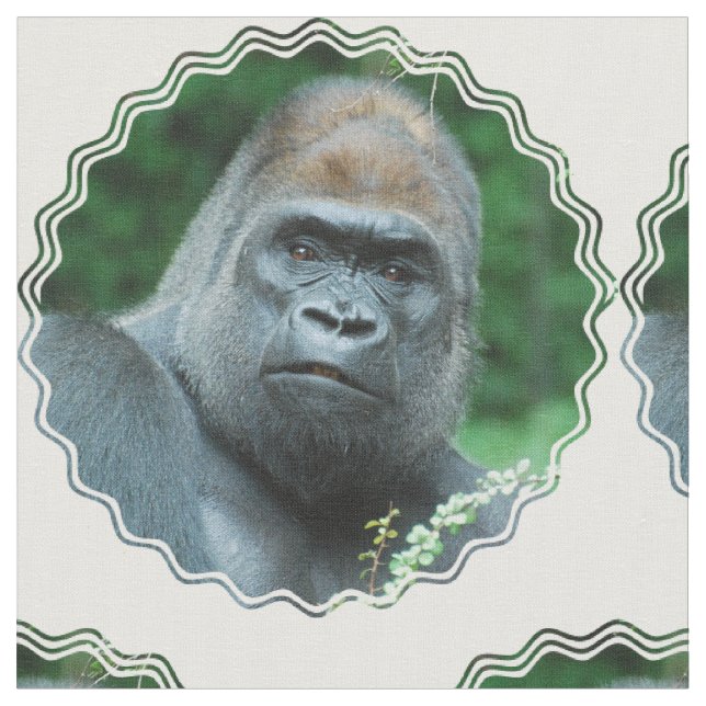 Förvirrad gorilla tyg (Närbild)