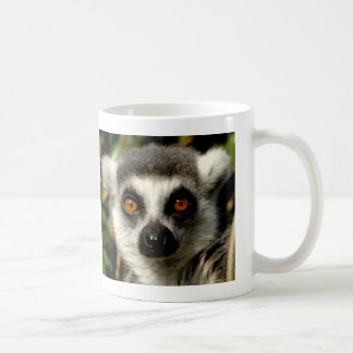 Förvirrad Lemurmugg Kaffemugg
