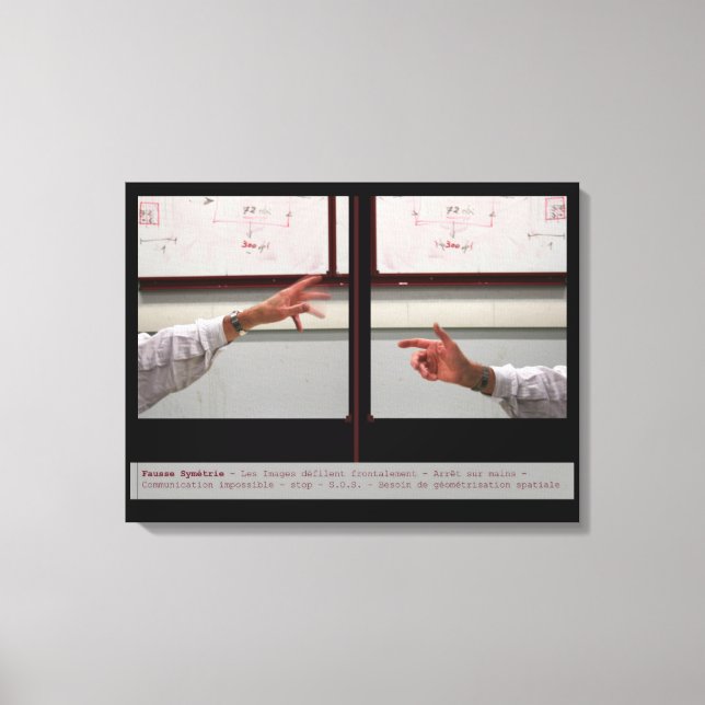 Förvräng Symmetry Fausse Symetrie Canvas (Framsida)
