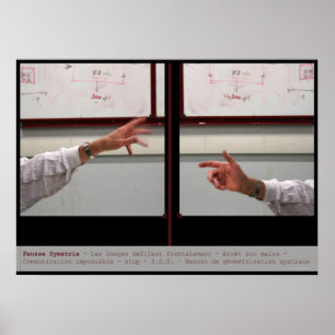 Förvräng Symmetry Fausse Symetrie Poster
