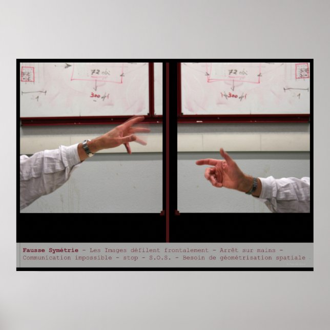 Förvräng Symmetry Fausse Symetrie Poster (Framsidan)