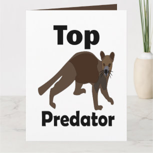 Fossa Madagaskar Rovdjur Top Predator Kort
