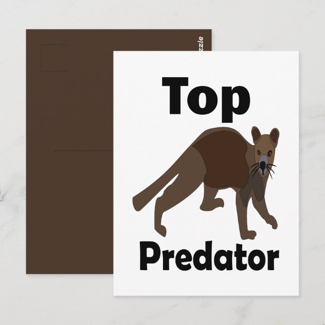 Fossa Madagaskar Rovdjur Top Predator Vykort (Fram/baksida)