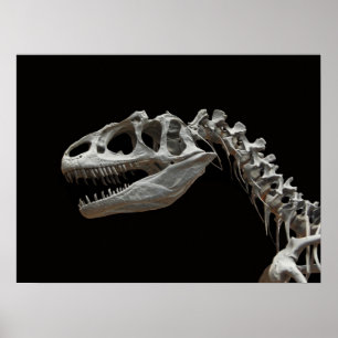 Fossil- allosaurushuvud och nacke poster