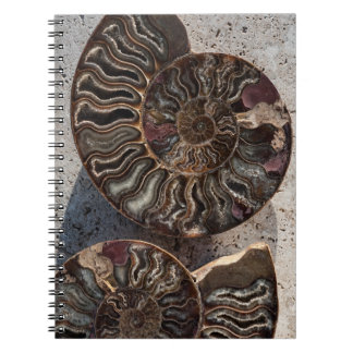 Fossil Ammonite bärbar dator Anteckningsbok