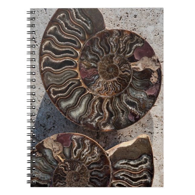 Fossil Ammonite bärbar dator Anteckningsbok (Framsidan)