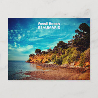 Fossil Beach, Beaumaris Vykort