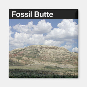 Fossil- Buttemedborgaremonument Magnet