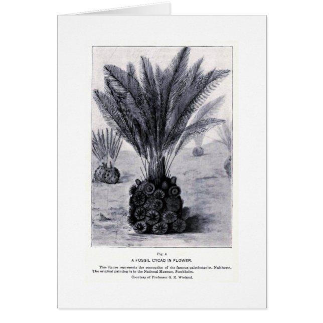 Fossil cycad i blomsterkonst hälsningskort (Framsidan)