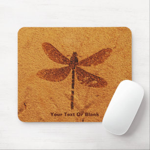 Fossil Dragonfly Musmatta